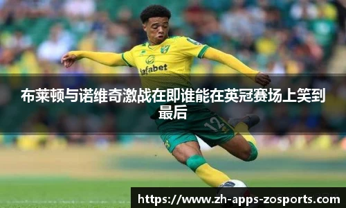 布莱顿与诺维奇激战在即谁能在英冠赛场上笑到最后